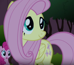 Size: 450x397 | Tagged: safe, imported from derpibooru, fluttershy, pinkie pie, earth pony, pegasus, pony, friendship is magic, season 1, cute, female, mare, pink mane, shyabetes
