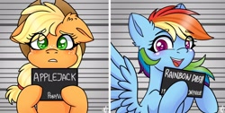 Size: 2512x1270 | Tagged: safe, artist:galaxy swirl, imported from derpibooru, applejack, rainbow dash, earth pony, pegasus, pony, appledash, barbie mugshot meme, cute, dashabetes, female, jackabetes, lesbian, meme, mugshot, shipping