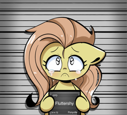 Size: 1321x1196 | Tagged: safe, artist:typhwosion, imported from derpibooru, part of a set, fluttershy, pegasus, pony, barbie mugshot meme, crying, meme, mugshot, parody, solo