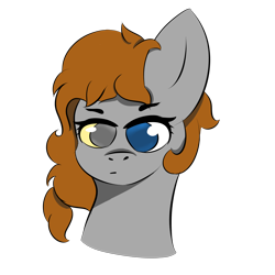 Size: 5000x5000 | Tagged: safe, artist:houndy, imported from derpibooru, oc, oc only, oc:noxi, earth pony, pony, bust, earth pony oc, heterochromia, long hair, long mane, male, simple background, solo, transparent background