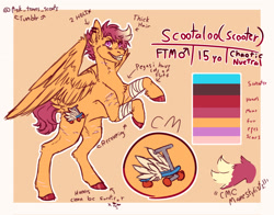 Size: 2048x1606 | Tagged: safe, alternate version, artist:ask-trans-scoots, imported from derpibooru, scootaloo, pegasus, pony, alternate cutie mark, bandage, dyed mane, ear piercing, english, male, piercing, reference sheet, rule 63, scar, scooteroll, self harm, self harm scars, smiling, solo, standing on two hooves, teenager, trans male, transgender, tumblr:ask trans scootaloo, wings