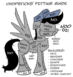 Size: 1850x1967 | Tagged: safe, artist:chopsticks, imported from derpibooru, oc, oc only, oc:chopsticks, pegasus, pony, anatomy guide, cheek fluff, chest fluff, cuddling, hat, infinity, male, no, non-consensual booping, non-consensual cuddling, petting, petting guide, silhouette, simple background, solo, spread wings, stallion, standing, text, unshorn fetlocks, white background, wings