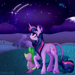 Size: 2500x2500 | Tagged: safe, artist:cakeshake22, imported from derpibooru, spike, twilight sparkle, dragon, pony, unicorn, duo, female, leonine tail, male, night, shooting star, stargazing, tail, unicorn twilight, unshorn fetlocks