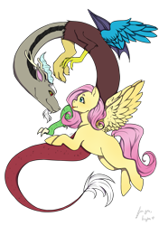 Size: 2039x2893 | Tagged: safe, artist:natt333, imported from derpibooru, discord, fluttershy, pegasus, pony, discoshy, duo, female, male, shipping, simple background, straight, transparent background