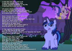 Size: 1058x755 | Tagged: safe, editor:incredibubbleirishguy, imported from derpibooru, princess cadance, shining armor, twilight sparkle, alicorn, pony, unicorn, a canterlot wedding, beauty and the beast, canterlot gardens, crying, crying armor, evermore, female, guilty, lyrics, male, mare, night, singing, stallion, text, unicorn twilight