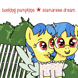 Size: 590x590 | Tagged: safe, artist:kleyime, oc, oc only, oc:eeny meeny, oc:miney moe, earth pony, pony, album, album cover, album parody, bush, conjoined, conjoined twins, fake wings, female, fence, filly, ms paint, multiple heads, ponified, ponified album cover, siamese dream, siblings, sisters, smashing pumpkins, the smashing pumpkins, twins, two heads