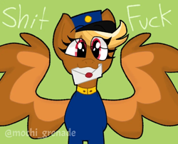 Size: 1080x873 | Tagged: safe, artist:mochi_grenade, imported from derpibooru, pegasus, pony, blonde, clothes, female, forced meme, green background, hat, letter, looking at you, mare, mouth hold, red eyes, shitfuck meme, signature, simple background, solo, spread wings, swift reply, text, uniform, vulgar, wings