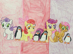 Size: 1280x940 | Tagged: safe, artist:justinvaldecanas, imported from derpibooru, apple bloom, babs seed, scootaloo, sweetie belle, bird, earth pony, pegasus, penguin, pony, unicorn, crossover, cutie mark crusaders, dreamworks, kowalski, madagascar (dreamworks), private (madagascar), rico, skipper, the penguins of madagascar, traditional art, wholesome