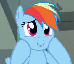 Size: 800x697 | Tagged: safe, imported from derpibooru, screencap, rainbow dash, pegasus, pony, daring don't, season 4, animated, cropped, cute, daaaaaaaaaaaw, dashabetes, dashface, female, gif, hnnng, hooves on cheeks, hooves on face, implied daring do, mare, rainbow dash is best facemaker, solo, squee, weapons-grade cute