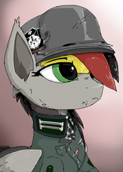 Size: 2500x3500 | Tagged: artist needed, safe, imported from derpibooru, oc, oc:anja snow, pegasus, equestria at war mod, clothes, female, helmet, iron cross, mare, military uniform, pegasus oc, uniform, wings