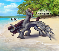 Size: 2300x2000 | Tagged: safe, artist:jehr, imported from derpibooru, oc, oc only, pegasus, pony, beach, sky, solo, tree, water