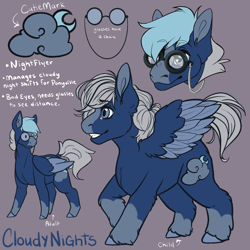 Size: 1920x1920 | Tagged: safe, artist:catatonic_illustrates, imported from derpibooru, oc, oc:cloudy nights, pegasus, pony, blaze (coat marking), blue eyes, child, cloud, coat markings, crescent moon, dark clouds, facial markings, feather, feathered wings, fetlock tuft, glasses, moon, nonbinary, nostrils, pegasus wings, reference sheet, smiling, snout, socks (coat markings), solo, spread wings, two toned mane, wings