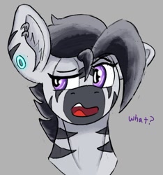 Size: 644x687 | Tagged: safe, artist:reddthebat, imported from derpibooru, oc, oc only, oc:zerø, zebra, bust, confused, ear fluff, ear piercing, earring, eyebrows, gray background, jewelry, male, open mouth, piercing, raised eyebrow, simple background, solo, stallion, sternocleidomastoid, zebra oc