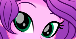 Size: 905x465 | Tagged: safe, artist:charliexe, imported from derpibooru, pipp petals, human, equestria girls, adorapipp, close-up, cropped, cute, equestria girls-ified, extreme close-up, female, g5, g5 to equestria girls, generation leap, solo, wip
