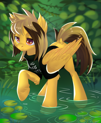 Size: 2800x3400 | Tagged: safe, artist:xvostik, imported from derpibooru, pegasus, pony, alex gaskarth, all time low, clothes, commission, dyed mane, dyed tail, ear fluff, folded wings, hoof fluff, lilypad, male, outdoors, pond, ponified, raised hoof, shirt, solo, stallion, standing, t-shirt, tail, tail feathers, water, wings, ych result