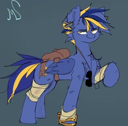 Size: 1965x1932 | Tagged: safe, artist:madiwann, imported from derpibooru, oc, oc only, oc:shining trophy, pegasus, pony, fallout equestria, bandage, blue mane, concave belly, male, post-apocalyptic, raised hoof, stallion, sunglasses, wings