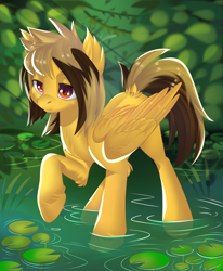 Size: 2800x3400 | Tagged: safe, alternate version, artist:xvostik, imported from derpibooru, pegasus, pony, alex gaskarth, all time low, commission, dyed mane, dyed tail, ear fluff, folded wings, hoof fluff, lilypad, male, outdoors, pond, ponified, raised hoof, solo, stallion, standing, tail, tail feathers, water, wings, ych result