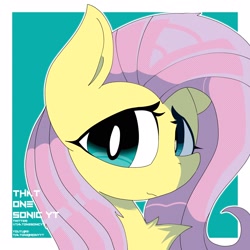 Size: 2048x2048 | Tagged: safe, artist:thatonesonicyt, imported from derpibooru, fluttershy, pegasus, pony, bust, chest fluff, female, solo