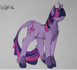 Size: 944x855 | Tagged: safe, artist:hederacea, imported from derpibooru, twilight sparkle, pony, unicorn, chest fluff, curved horn, g4, hair over eyes, horn, solo, traditional art, unicorn twilight