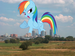 Size: 1600x1205 | Tagged: safe, artist:dashiesparkle, edit, editor:jaredking779, imported from derpibooru, rainbow dash, pegasus, pony, female, giant pegasus, giant pony, giantess, highrise ponies, irl, macro, mare, mega giant, mega/giant rainbow dash, oklahoma, oklahoma city, photo, ponies in real life, solo