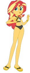 Size: 1900x4612 | Tagged: safe, artist:gmaplay, imported from derpibooru, sunset shimmer, human, equestria girls, equestria girls series, x marks the spot, beach shorts swimsuit, belly button, clothes, female, simple background, solo, sunset shimmer's beach shorts swimsuit, swimsuit, transparent background