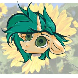 Size: 2000x2000 | Tagged: safe, artist:watashiao, imported from derpibooru, oc, oc only, oc:wata, pony, unicorn, bust, digital art, floppy ears, flower, horn, irl, photo, portrait, simple background, solo, sunflower