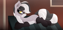 Size: 3362x1621 | Tagged: safe, artist:andaluce, imported from derpibooru, oc, oc only, oc:bandy cyoot, hybrid, pony, raccoon, raccoon pony, clothes, cute, cute little fangs, draw me like one of your french girls, fangs, female, lineless, lying down, ocbetes, prone, short hair, socks, solo