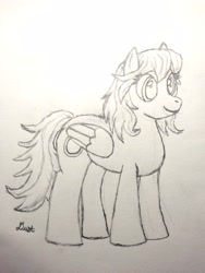 Size: 2424x3232 | Tagged: safe, artist:dust, derpibooru exclusive, imported from derpibooru, oc, oc:eclipse, pegasus, pony, female, mare, pencil drawing, solo, traditional art