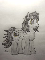 Size: 2408x3208 | Tagged: safe, artist:dust, derpibooru exclusive, imported from derpibooru, oc, oc:eclipse, pegasus, pony, colored, colored pencil drawing, female, mare, pencil drawing, solo, traditional art