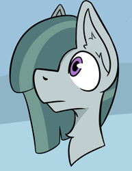 Size: 520x672 | Tagged: safe, artist:cotarsis, imported from derpibooru, marble pie, earth pony, pony, bust, solo