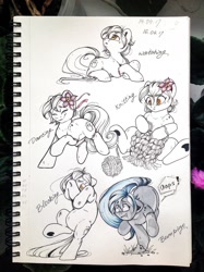 Size: 1280x1714 | Tagged: artist needed, source needed, safe, imported from derpibooru, oc, oc only, earth pony, pony, blocking, bump, dancing, earth pony oc, female, knitting, looking up, lying down, prone, running, sitting, sketchbook, standing on two hooves, traditional art