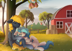 Size: 2486x1770 | Tagged: safe, artist:little-sketches, imported from derpibooru, oc, oc only, oc:osteen, oc:peacher, pegasus, pony, barn, collar, duo, female, fence, food, hay bale, male, mango, oc x oc, peachsteen, pegasus oc, resting, shipping, straight, tree