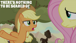 Size: 2000x1125 | Tagged: safe, edit, edited screencap, editor:quoterific, imported from derpibooru, screencap, applejack, fluttershy, earth pony, pegasus, pony, sounds of silence, duo focus, female, male, mare, quote, raised hoof, stallion, stillhoute