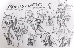 Size: 3836x2529 | Tagged: safe, artist:muffinz, imported from derpibooru, oc, oc:mundane mare, donkey, earth pony, hybrid, pony, rabbit, animal, hybrid oc, reference sheet, saddle, solo, tack, traditional art