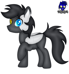 Size: 3840x4154 | Tagged: safe, artist:damlanil, imported from derpibooru, oc, oc:cloudy days, pegasus, pony, commission, cute, happy, heterochromia, male, raised hoof, show accurate, simple background, smiling, solo, stallion, transparent background, vector, wings