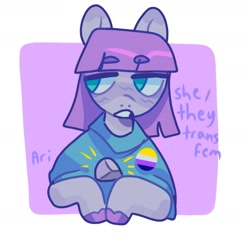 Size: 1387x1434 | Tagged: safe, artist:ariariari.png, imported from derpibooru, maud pie, pony, boulder (g4), nonbinary, nonbinary pride flag, pride, pride flag, pronouns, rock, solo