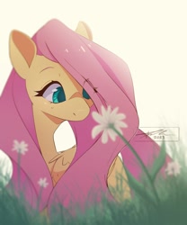 Size: 2500x3000 | Tagged: safe, artist:mindlessnik, imported from derpibooru, fluttershy, pegasus, pony, cute, eye clipping through hair, female, flower, looking at something, mare, shyabetes, signature, solo