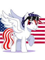 Size: 720x960 | Tagged: safe, artist:diniarvegafinahar, imported from derpibooru, pegasus, pony, flag, male, nation ponies, ponified, raised hoof, simple background, solo, stallion, sunglasses, united states, white background, wings