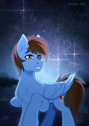 Size: 2480x3507 | Tagged: safe, artist:fenwaru, imported from derpibooru, oc, oc only, pegasus, pony, solo