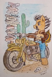 Size: 1387x2048 | Tagged: safe, artist:daisymane, imported from derpibooru, oc, oc only, oc:dusty katt, earth pony, pony, bipedal, cactus, motorcycle, road sign, solo, traditional art