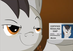 Size: 1754x1240 | Tagged: safe, artist:ace play, artist:mrkat7214, imported from derpibooru, oc, oc only, earth pony, pony, card, commission, dexterous hooves, emperor's new groove, hoof hold, license card, male, meme, smug, solo