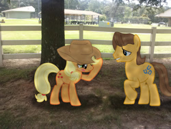 Size: 1024x768 | Tagged: safe, artist:tokkazutara1164, imported from derpibooru, applejack, caramel, earth pony, pony, blushing, carajack, cute, female, fence, irl, jackabetes, male, mare, photo, ponies in real life, shipping, stallion, straight, tree
