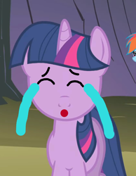 Size: 794x1024 | Tagged: safe, edit, edited screencap, imported from derpibooru, screencap, twilight sparkle, 1000 hours in ms paint, crying, episode needed, wat, why, wtf