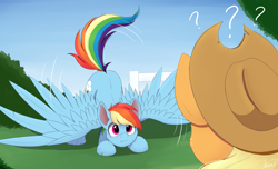 Size: 1947x1184 | Tagged: safe, artist:arcane-thunder, imported from derpibooru, applejack, rainbow dash, earth pony, pegasus, pony, appledash, atg 2023, behaving like a bird, confused, duo, duo female, female, lesbian, mare, newbie artist training grounds, question mark, shipping, spread wings, wings