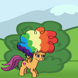 Size: 2000x2000 | Tagged: safe, artist:artevi, imported from derpibooru, scootaloo, pegasus, pony, afro, agent rainbow head, atg 2023, bush, newbie artist training grounds, solo, wig