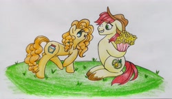 Size: 6399x3717 | Tagged: safe, artist:mintytreble, imported from derpibooru, bright mac, pear butter, earth pony, pony, atg 2023, brightbutter, female, flirting, flower, male, newbie artist training grounds, shipping, shipping fuel, simple background, straight, traditional art