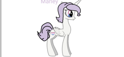 Size: 895x415 | Tagged: safe, imported from derpibooru, oc, oc only, oc:marley, alicorn, pony, base used, bigender, bigender pride flag, multicolored eyes, pride, pride flag, simple background, smiling, solo, text, white background, white coat