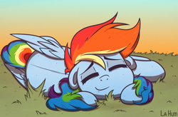 Size: 1649x1080 | Tagged: safe, artist:la hum, imported from derpibooru, rainbow dash, pegasus, pony, cute, dashabetes, eyes closed, female, floppy ears, grass, mare, sleeping, smiling, solo