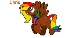 Size: 815x409 | Tagged: safe, imported from derpibooru, oc, oc only, oc:chris, pegasus, pony, base used, blue eyes, brown coat, multicolored hair, pride, rainbow hair, rainbow tail, simple background, smiling, solo, tail, text, white background