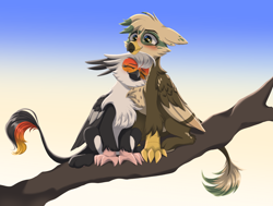 Size: 2264x1716 | Tagged: safe, artist:ghoasthead, imported from derpibooru, oc, oc only, oc:angelcrest, oc:dillinger, griffon, blushing, couple, cute, eyes closed, female, gradient background, griffon oc, male, paws, shipping, snuggling, straight, talons